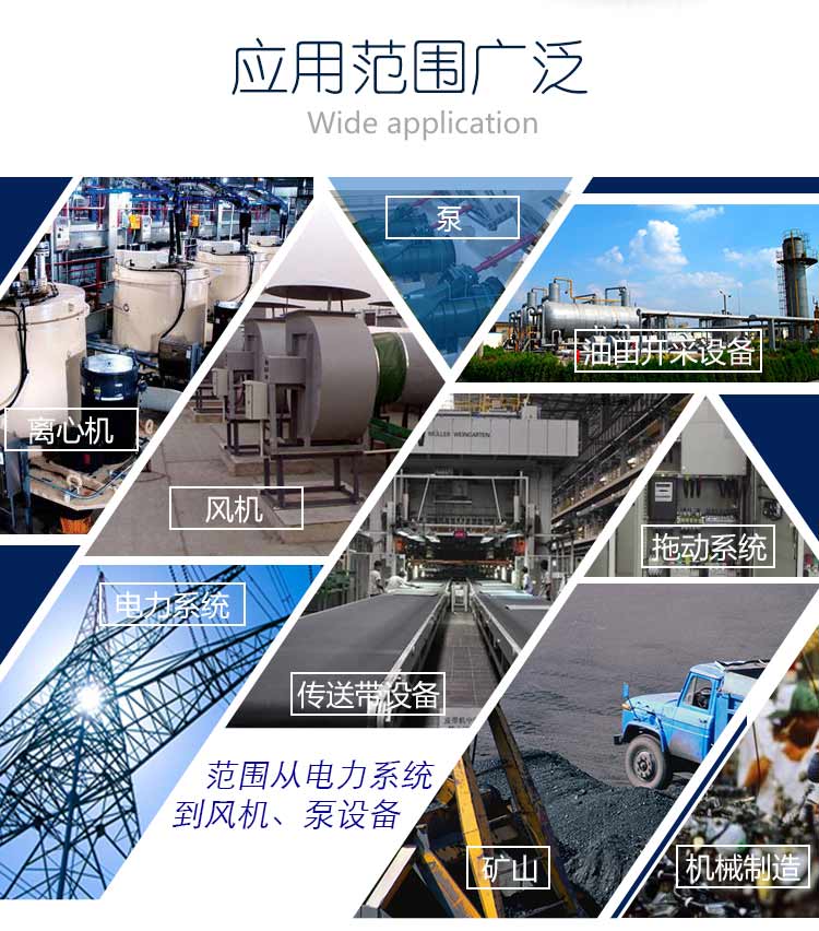 高壓固態(tài)軟啟動(dòng)柜,高壓固態(tài)軟啟動(dòng)柜報(bào)價(jià),高壓固態(tài)軟起動(dòng)柜價(jià)格,高壓固態(tài)軟啟動(dòng)柜廠家